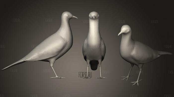 Spotted Dove stl model for CNC